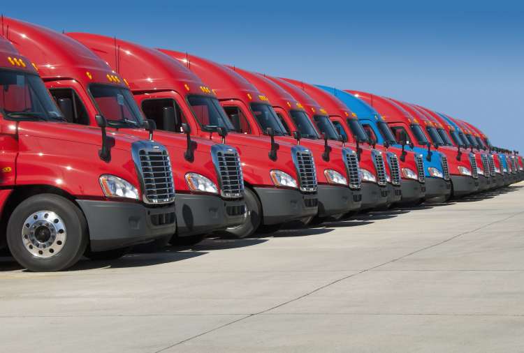 A line of red and blue semi truck tractors.
